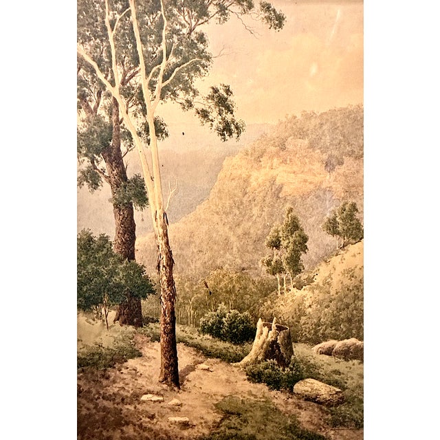 This watercolor of a mountain clearing featuring towering gum (eucalyptus) trees in the foreground, a dusty track, and a...