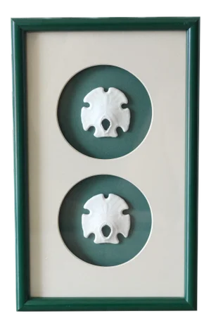 1980s Green Lacquer Framed Mexican Arrowhead Sand Dollars