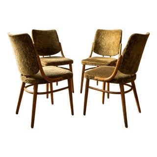 Bentwood Dining Chairs in Beechwood & Olive Velour from TON, Czechoslovakia, 1970s, Set of 4 For Sale