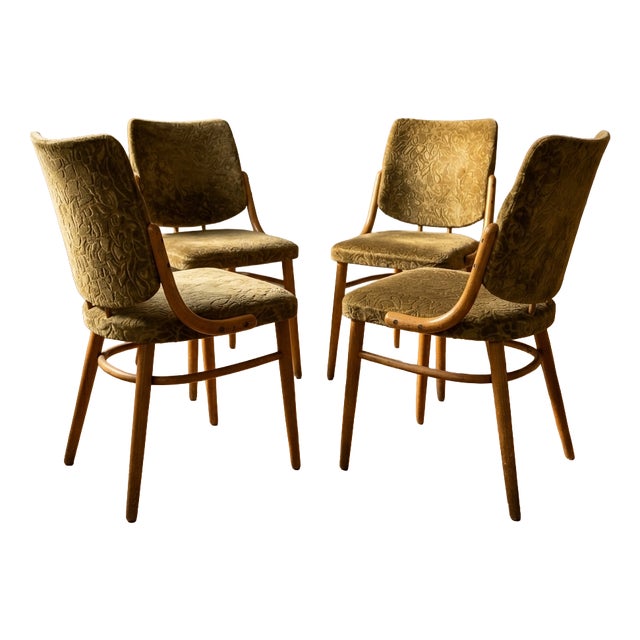 Bentwood Dining Chairs in Beechwood & Olive Velour from TON, Czechoslovakia, 1970s, Set of 4 For Sale