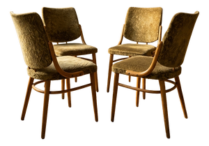 Bentwood Dining Chairs in Beechwood & Olive Velour from TON, Czechoslovakia, 1970s, Set of 4