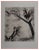 Marc Chagall, The Rooster and the Fox, Original Engraving For Sale