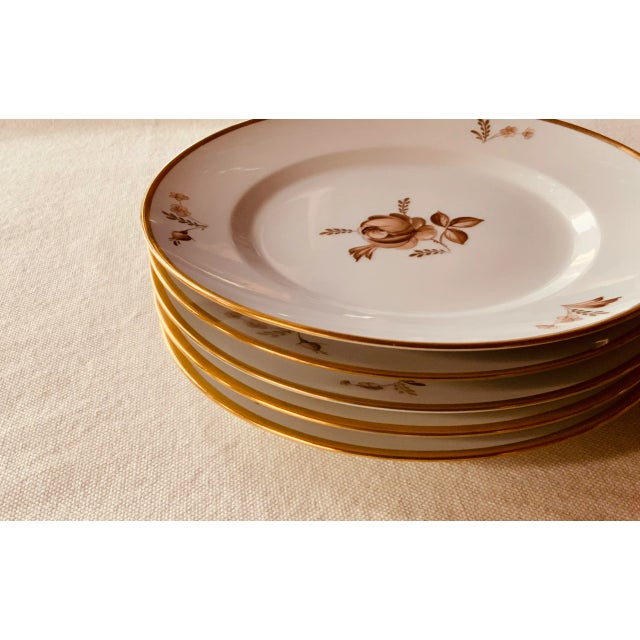 Brown Royal Copenhagen Brown Rose Hand-Painted Porcelain 10" Dinner Plates Set of 6 For Sale - Image 8 of 12