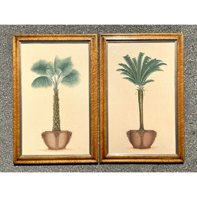 English Vintage Coastal Palm Prints - A Pair For Sale - Image 3 of 12
