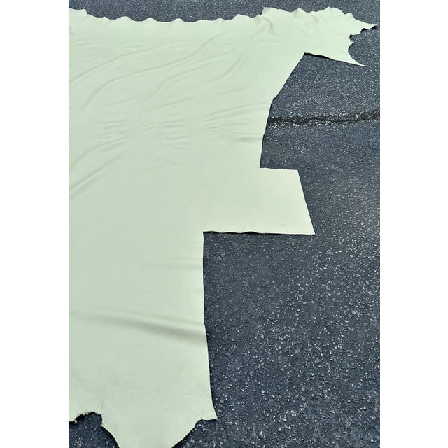 Transitional Celadon Aniline Dyed Leather Hide For Sale - Image 3 of 6