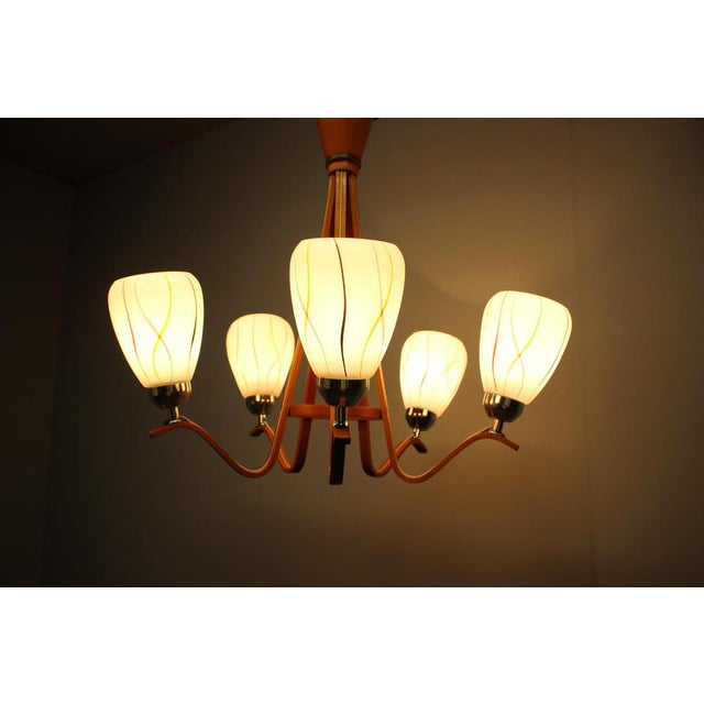 Mid-Century Wooden Chandelier with Glass Shades, Czechoslovakia, 1970s For Sale - Image 12 of 14