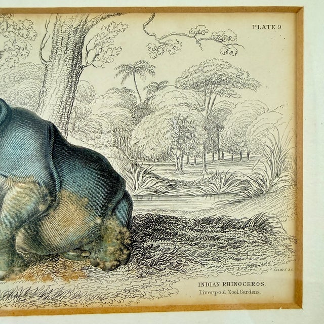 James Stewart Indian Rhinoceros Hand Colored Copper Engraving, Framed – 1836 For Sale - Image 4 of 11