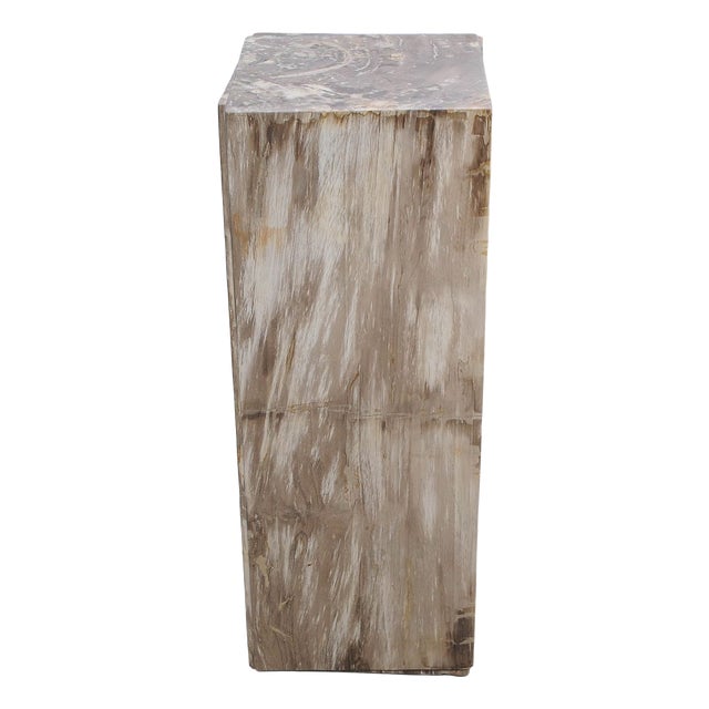 Petrified Wood Pedestal by Xyleia Petrified Wood For Sale