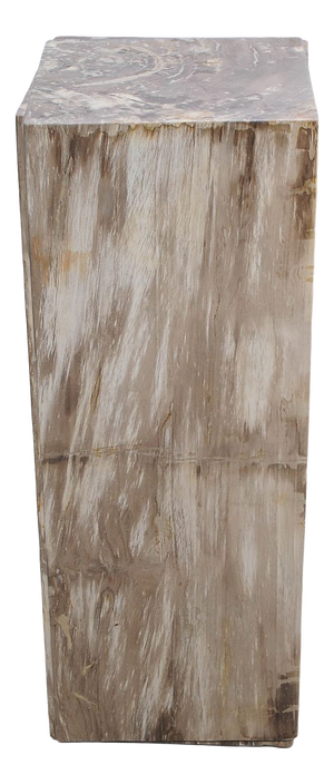 Petrified Wood Pedestal by Xyleia Petrified Wood