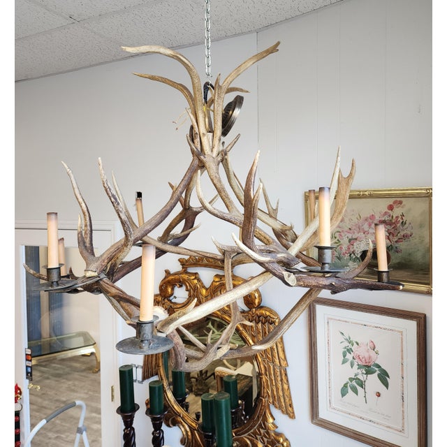 Mid 20th Century Antique Elk Antler Chandelier For Sale - Image 5 of 13