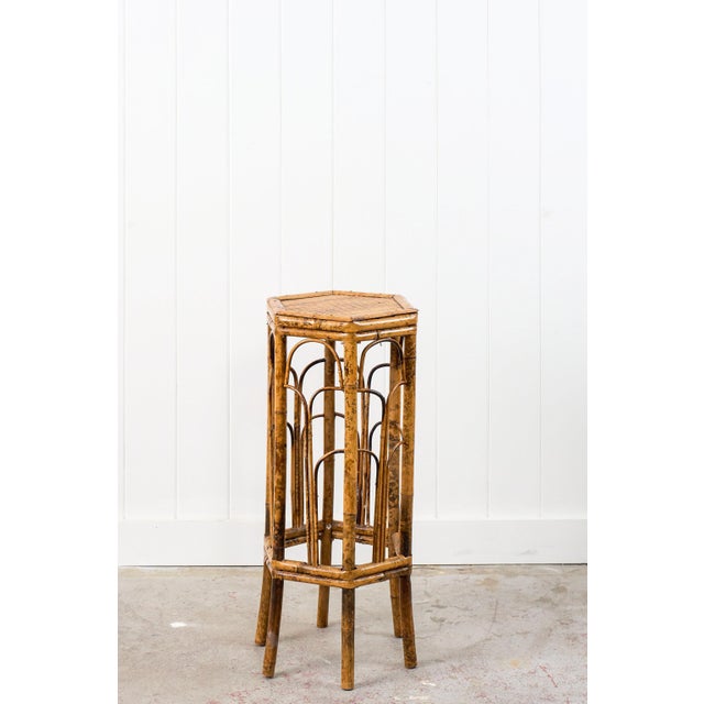 Late 19th Century Antique Tortoise Octagon Bamboo Stand For Sale - Image 5 of 12