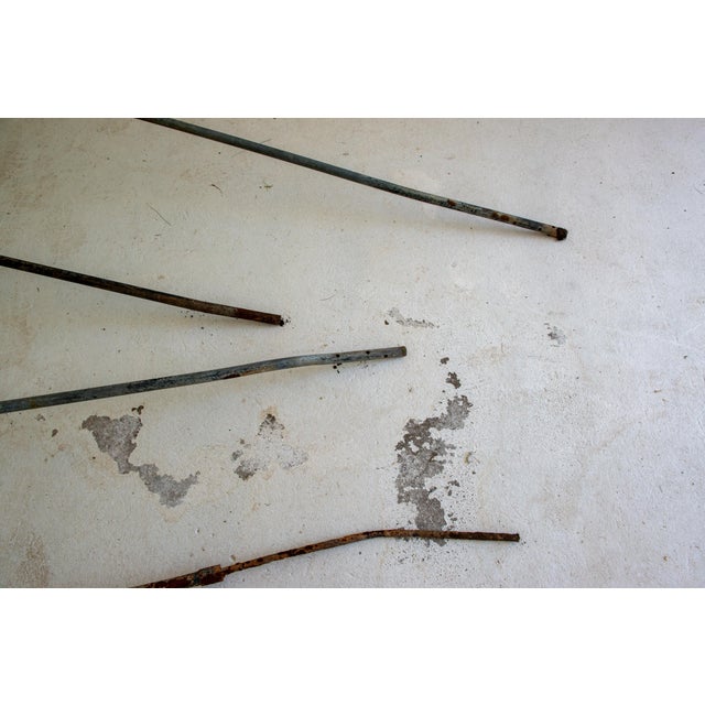 Set of four wrought iron French garden rose trees with decorative umbrella like tops. A special way to grow your climbing...