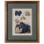 Muscadine, Muscat Variety Grapes, Color Lithograph c1891 For Sale