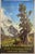 Wengernalp Railway Poster from Ernst Hodel, 1951 For Sale - Image 11 of 11
