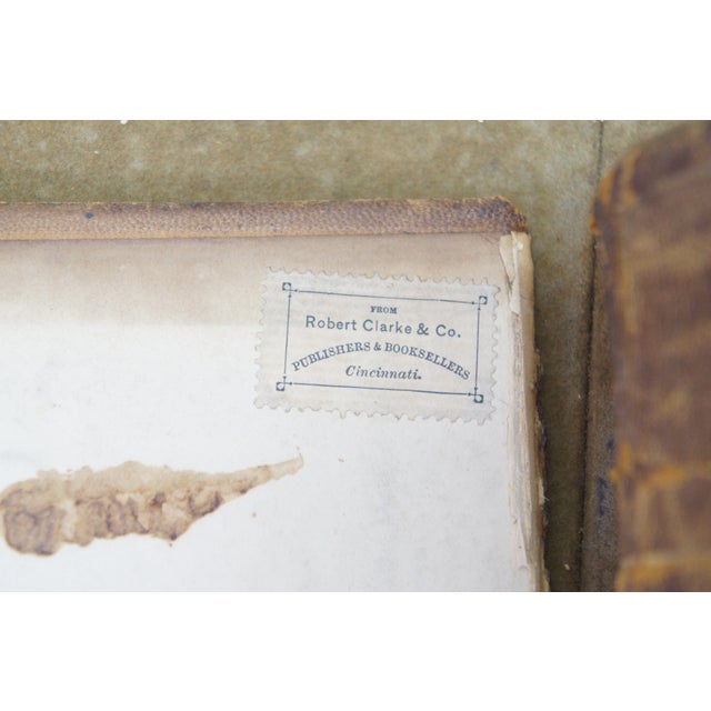 Antique 1878 Grays Anatomy Descriptive Surgical Medical Book Henry C Lea Leather For Sale - Image 9 of 16