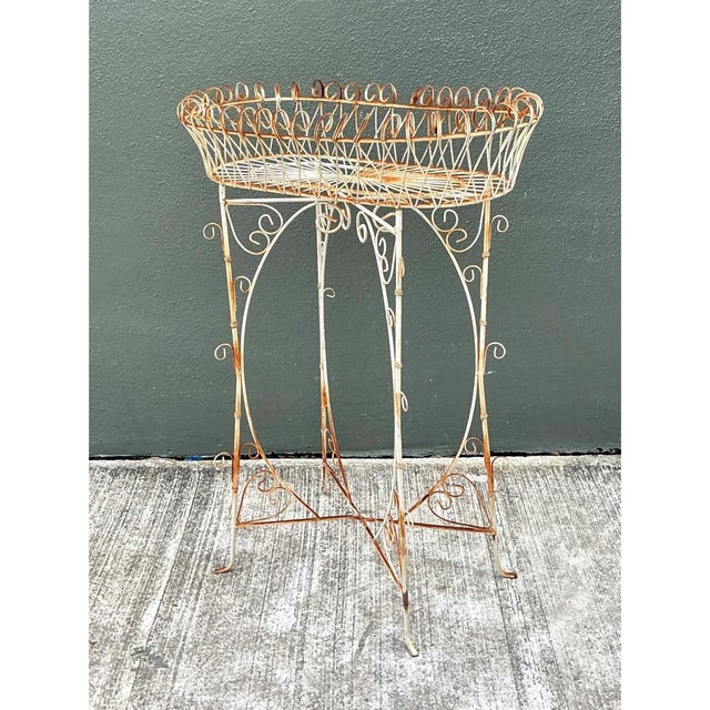 Early 20th Century Vintage Iron Scrollwork Plant Stand For Sale - Image 5 of 12