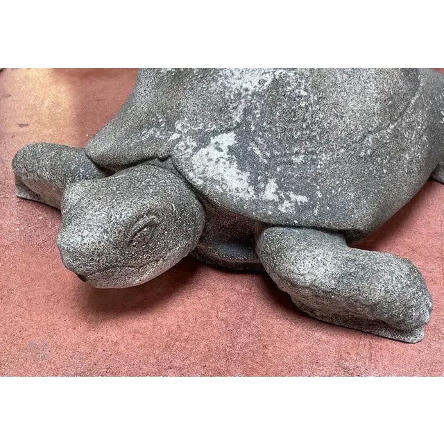 Mid 20th Century Vintage Cast Stone Life Size Model of a Sea Turtle/Fountain For Sale - Image 4 of 12