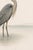 Black Great Blue Heron Coastal Study, Neutral Bird Wall Art Print, 24″ × 36″ Reproduction For Sale - Image 8 of 10
