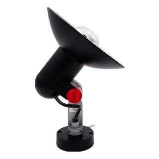 Wall or Ceiling Spot Lamp by Roger Tallon for Erco For Sale