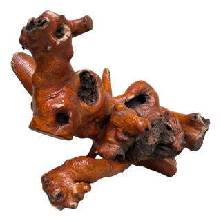 Japanese Rootwood Yamazakura, 1970s For Sale