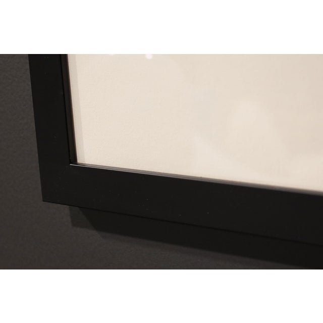 Mid-Century Modern Betsy Tryon Framed Botanical, DTD 1978 (Sold Individually) For Sale - Image 3 of 5