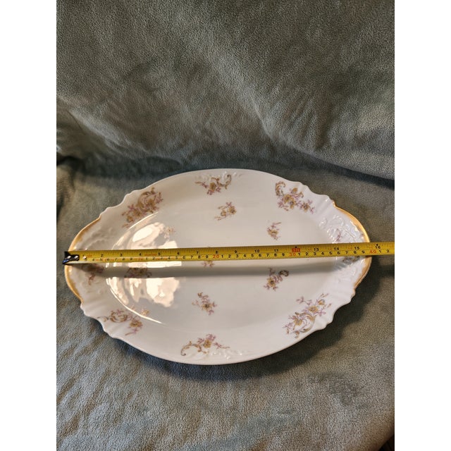 Rare Antique Theodore Haviland Limoges Schleiger 143 Graduated Platters - Set of 5 For Sale In Sacramento - Image 6 of 18