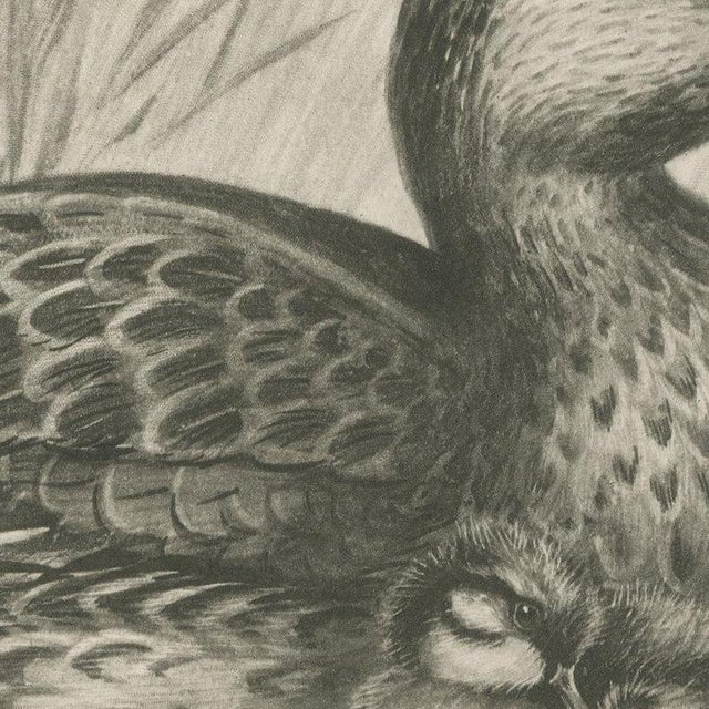 After Lilian Medland, Duck and Young, 1909, Print For Sale - Image 6 of 12