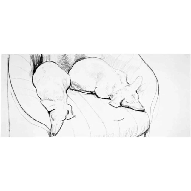 David Hockney Sale Original 90's David Hockney Stanley & Boodge Dachshund Dog Exhibition Museum Black & White Sketch Lithograph Poster Art For Sale - Image 4 of 5