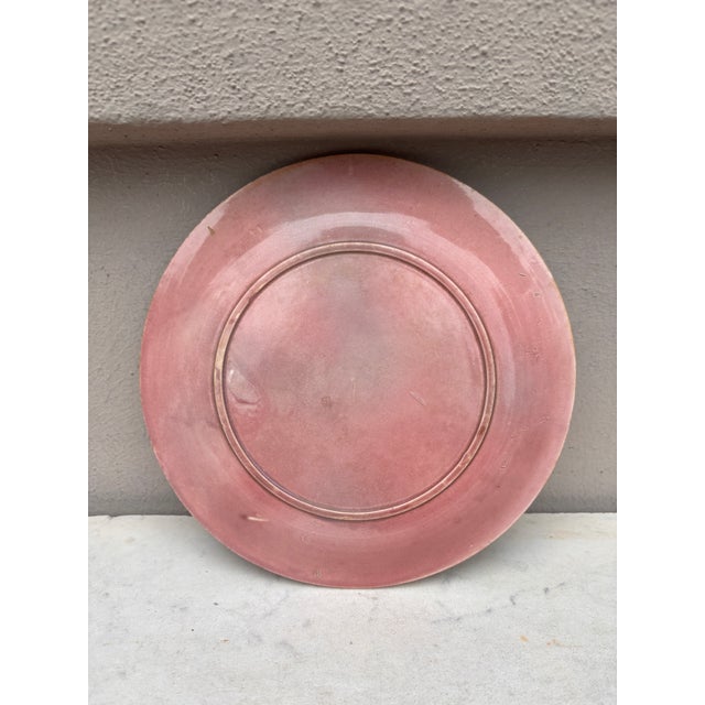 French Pink Majolica Parakeets Plate Salins, Circa 1890 For Sale - Image 4 of 4
