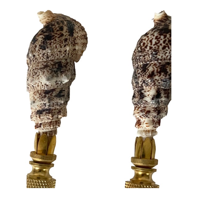 1960s Lamp Finials Coastal Sea Shells Pair For Sale
