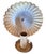 Clam Shells Sconces in Original Silverplate Finish, Pristine Patina, Circa 1920 For Sale - Image 9 of 9