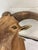 Vintage Taxidermy Aoudad (Barbary Sheep) Shoulder Mount For Sale In Oklahoma City - Image 6 of 9