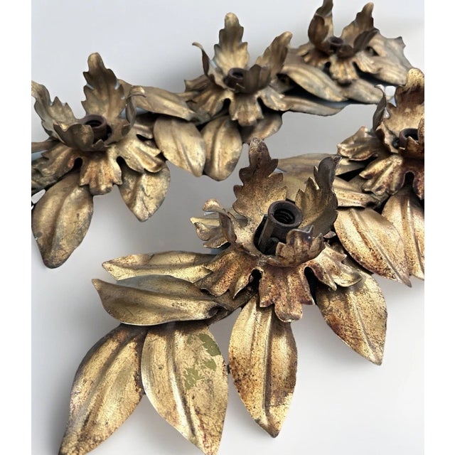 1960's Hollywood Regency Gilt Gold Floral Wall Sconces by Hans Kogl a - Pair For Sale In Miami - Image 6 of 17