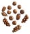 Mid-Century Carved Wood Fruit Set For Sale