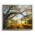 Sunlit Path Under Live Oak Branches, Framed Photograph, Artist Will Dickey For Sale