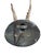 1900 - 1909 Roe Deer Trophy 205 Black Forest Antlers For Sale - Image 5 of 5