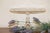 Hard to find these old pieces in such good condition! More than 100 years old, this is an excellent example of early EAPG...