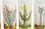 1960’s Blakely Gas Highball Glasses, Set of 6 For Sale - Image 16 of 16
