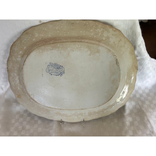 Mid 19th Century Asiatic Pheasant Platter For Sale - Image 11 of 14