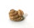 1980's Chinese Netsuke Style Coiled Snake Carving With Long Life Peach For Sale In Tampa - Image 6 of 6