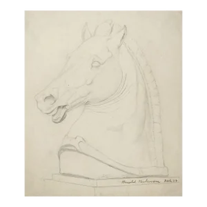 Vintage Drawing Study Ancient Horse Carving