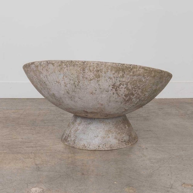 Gray Willy Guhl 31" Concrete Bowl Planter, 1960s For Sale - Image 8 of 15