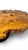 Wood Live Edge Burlwood Coffee Table in the Manner of George Nakashima C. 1980 For Sale - Image 7 of 8