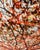 Large 40"x60" Autumn Tree Canopy Photo Print Fall Foliage Acrylic Wall Art Decor For Sale In Greenville, SC - Image 6 of 12