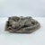 Early 20th Century Makonde Adam, Eve, and Snake Wood Carving MATTER COLLECTION For Sale In Denver - Image 6 of 7