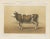 Borie, Mancelle Cow, French Cattle Breed, 1863, Chromolithograph For Sale - Image 9 of 9