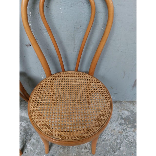 Set of Bentwood Webbing Dining Chairs For Sale - Image 3 of 16