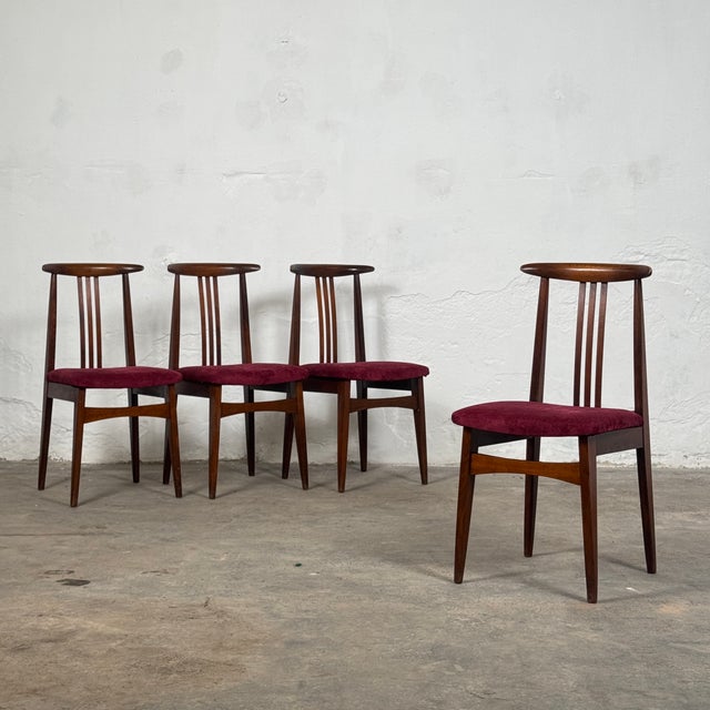 Polish Dining Chairs attributed to M. Zielinski, 1960s, Set of 5 For Sale - Image 6 of 9