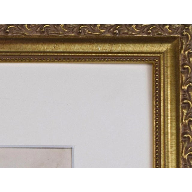 19th Century English Hand Colored Bird Engraving by Goldsmith For Sale In New York - Image 6 of 6