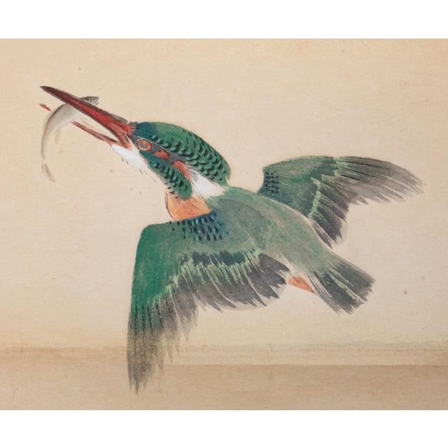 "Kingfisher" by Nankei, Taisho Era Japanese Scroll Painting For Sale - Image 4 of 14